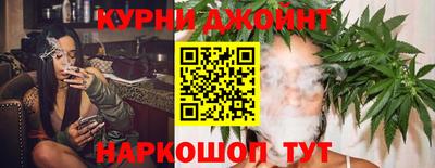 индика Нальчик
