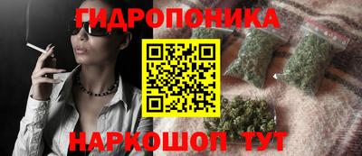 индика Нальчик