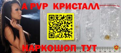 индика Нальчик
