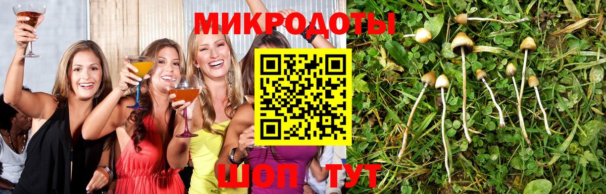 Сунжа  Галлюциногенные грибы Cubensis  Вход с VPN 
